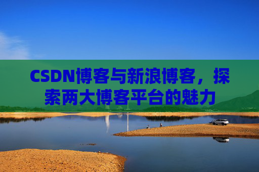 CSDN博客与新浪博客，探索两大博客平台的魅力